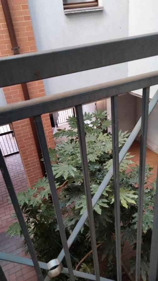 Ama Cityhouse ノヴァーラ エクステリア 写真